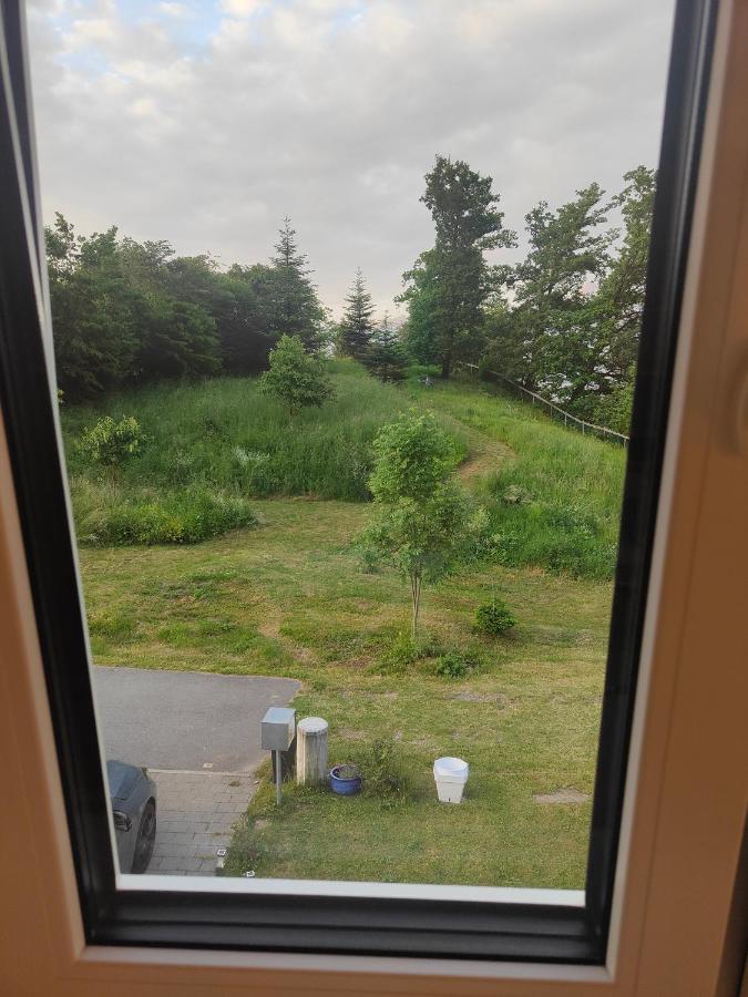Le Bouveret Chambre Zen Et Calme Bed & Breakfast エクステリア 写真