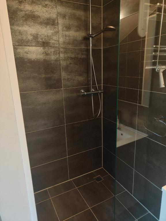 Le Bouveret Chambre Zen Et Calme Bed & Breakfast エクステリア 写真